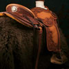 Iberian Horse Wade by Keith Valley - All custom specs and all original art design